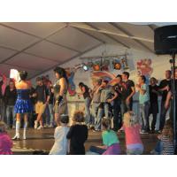 Strassen-_und_Hoffest 2014_103.jpg